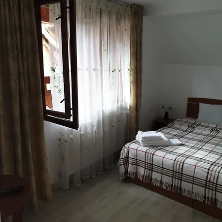 Ferienwohnung Casa Maia Cîrţişoara Exterior foto