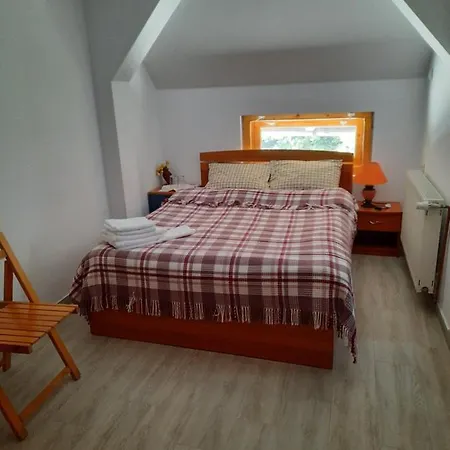 Ferienwohnung Casa Maia Cîrţişoara Exterior foto