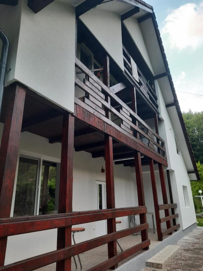 Casa Maia * Cîrţişoara