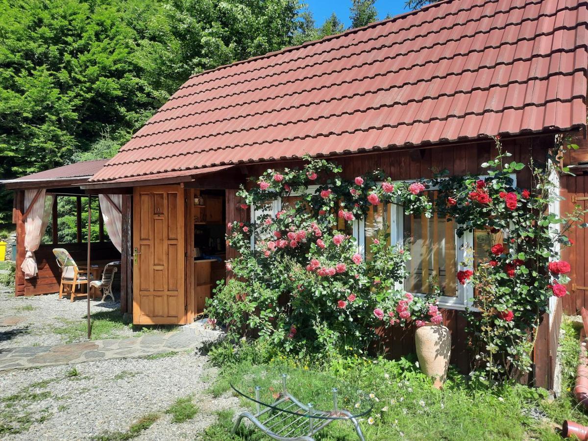 Privatunterkunft Casa Maia *