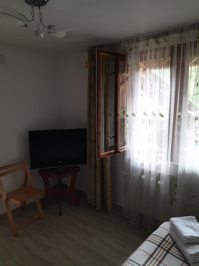 Casa Maia Privatunterkunft Cîrţişoara