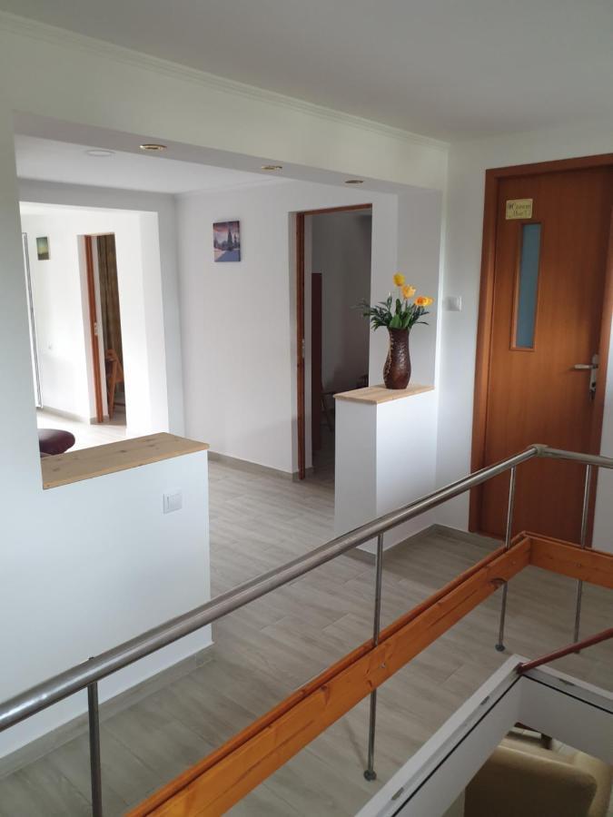 Privatunterkunft Casa Maia Cîrţişoara